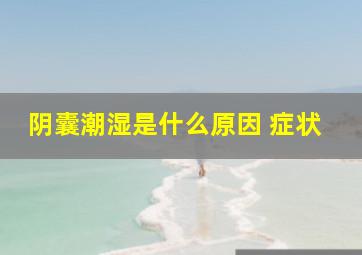 阴囊潮湿是什么原因 症状